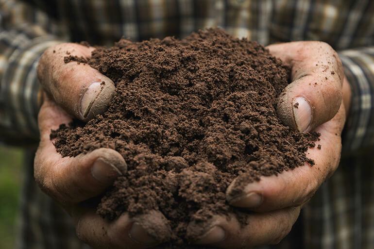 Close up of hands holding soil