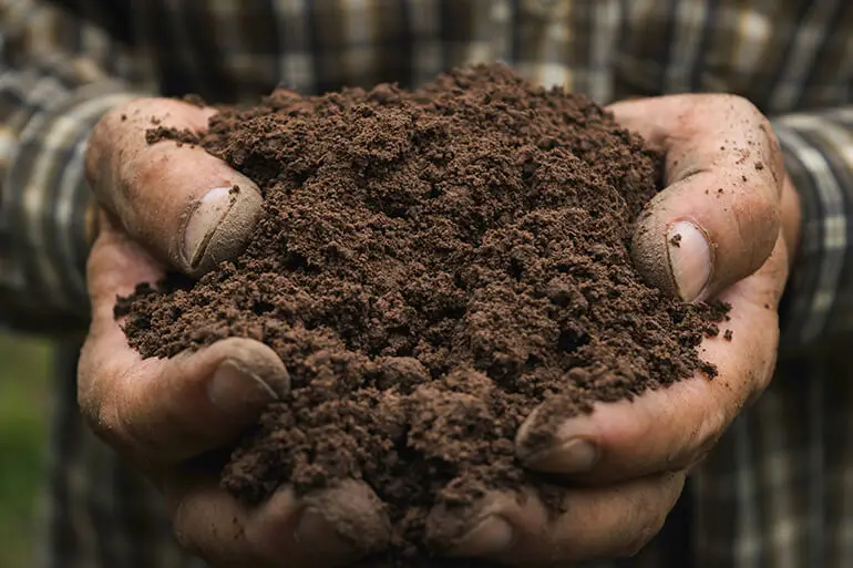 Close up of two hands holding healthy soil.